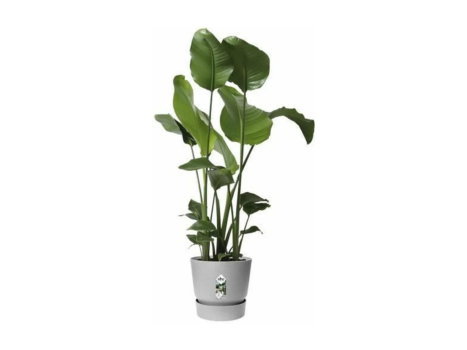 Doniczka okrągła 25 Szara betonowa ELHO Greenville Rond 25 - Zewnętrzna