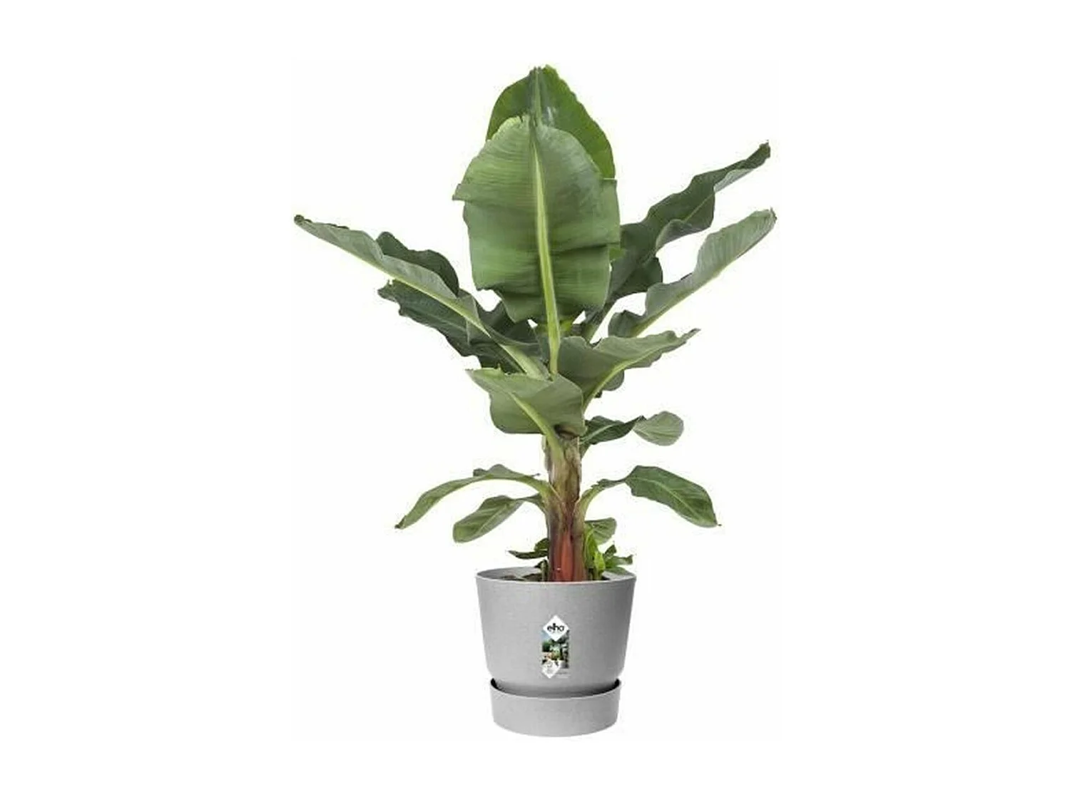 Pot de fleurs rond gris béton Ø 24,48 x 23,31 cm