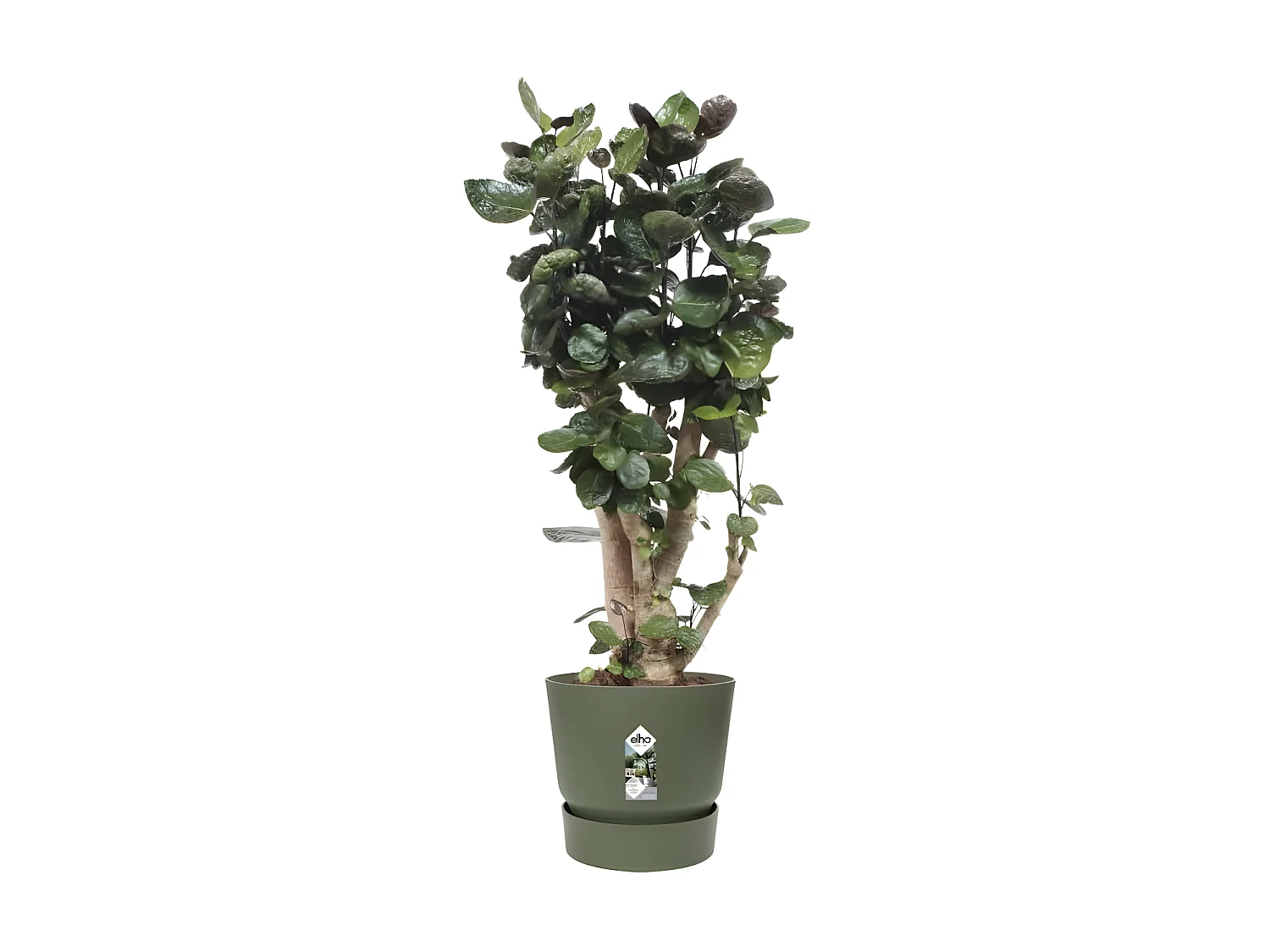 ELHO Pot de fleurs rond Greenville 47 - Exterieur - O 47 x H 44,1 cm - Vert feuille