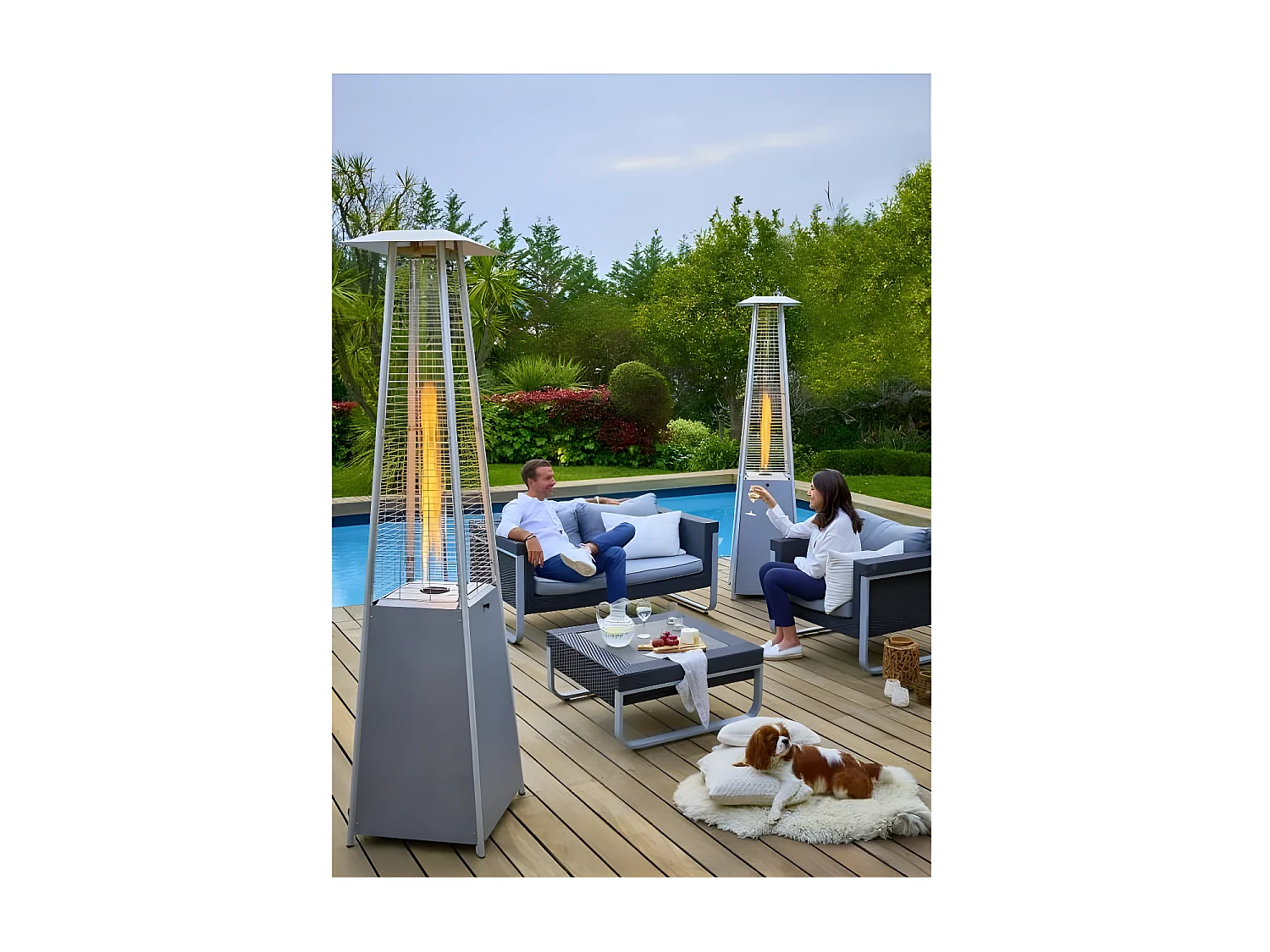 Flamme gaz FAVEX - Chauffage extérieur - Gaz Propane - Housse de protection - L 50 x P 50 x H 227 cm - Gris