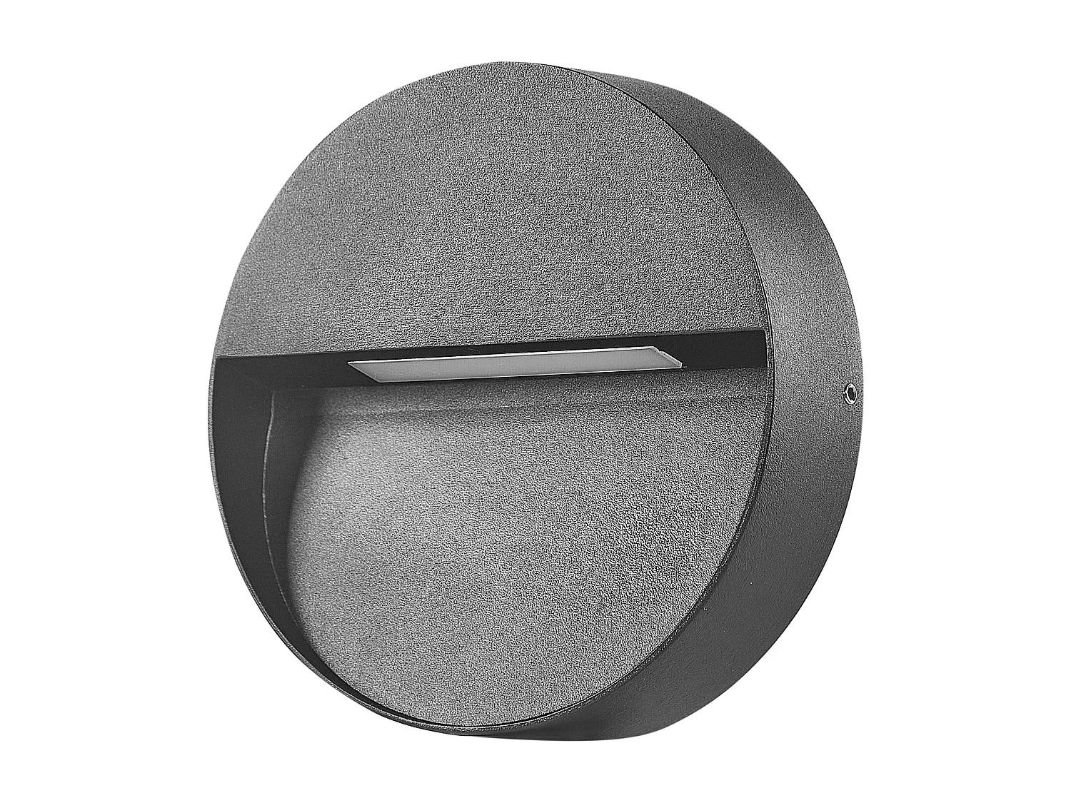 Lot de 2 appliques LED d'extérieur POMPTON Noir