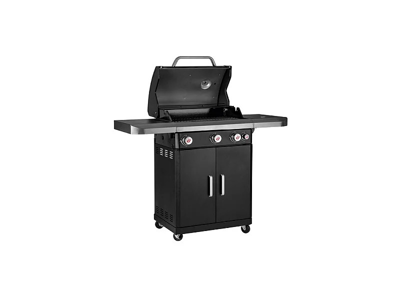 Barbecue à Gaz En Acier Inoxydable Avec Grille De Cuission Rexon Pts3 De La Marque Landmann
