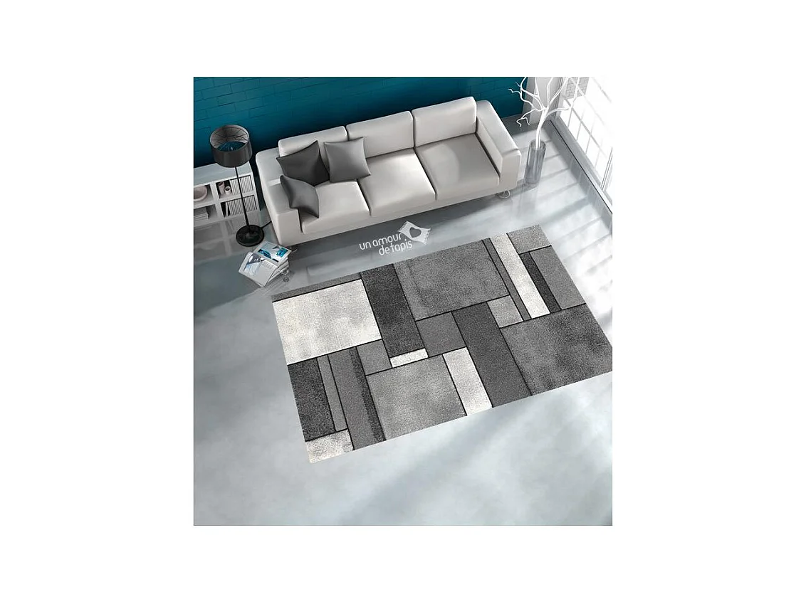 tapis salon 120x170 tissé gris rectangle motif géométrique BI 61