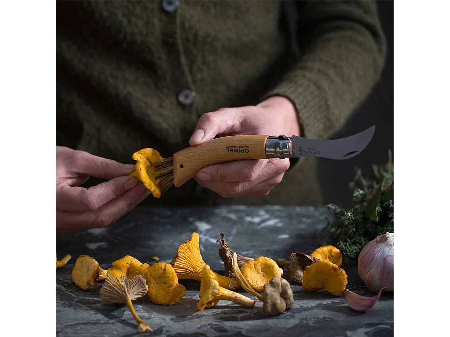 Pilzmesser Opinel - 8 cm, gebogene Klinge aus rostfreiem Stahl, Griff aus naturbelassenem lackierten Buchenholz