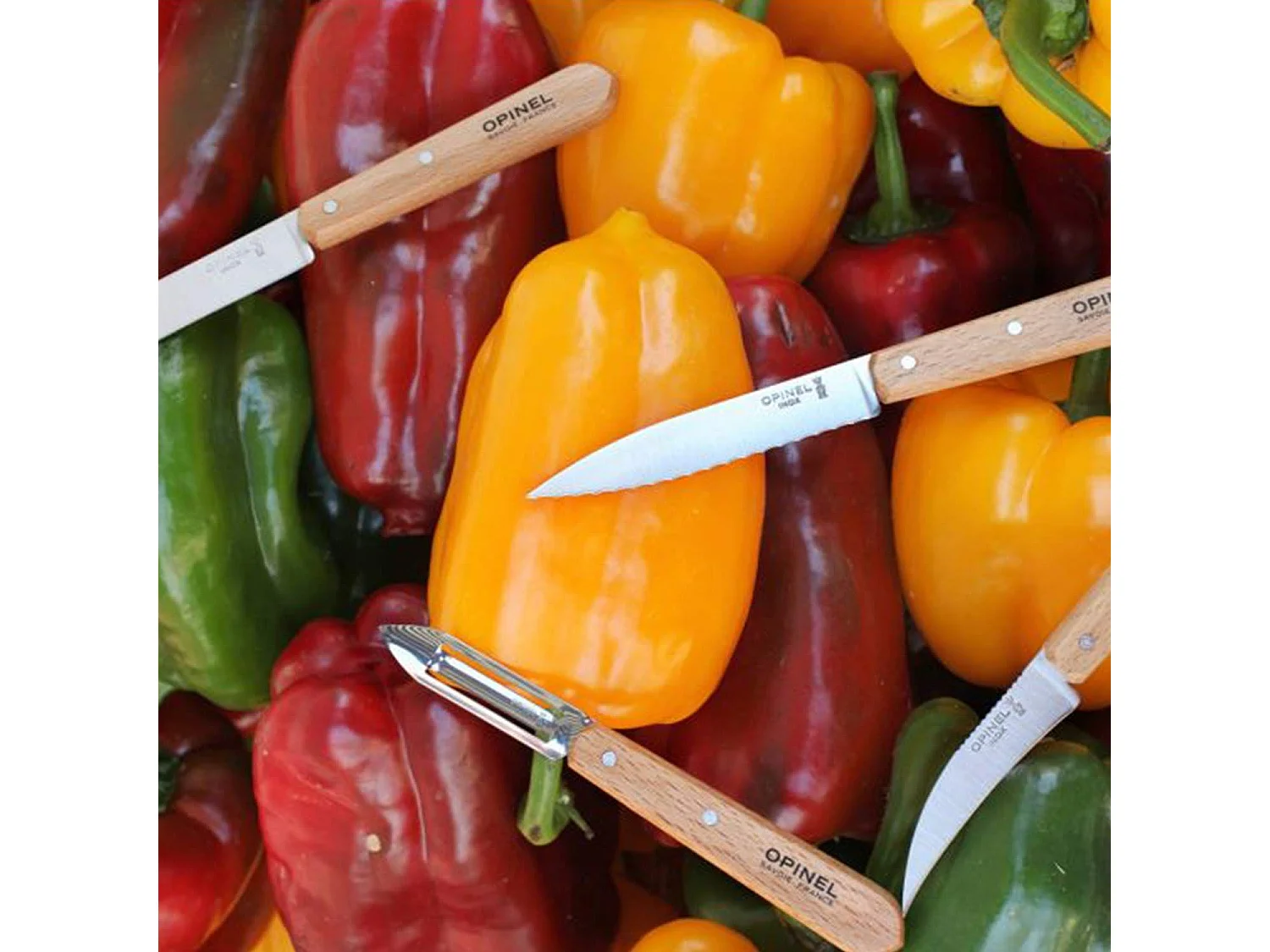 Juego de 4 cuchillos esenciales Opinel