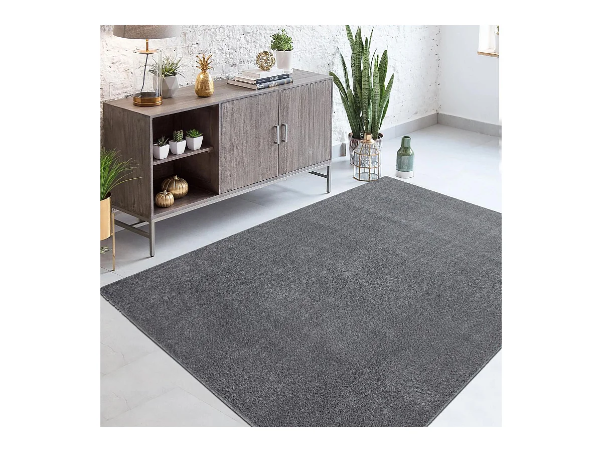 tapis salon 200x290 tissé gris clair rectangle motif uni SOULA