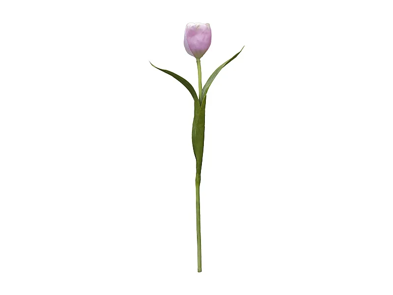 Tige de Tulipe Emilia - Mauve