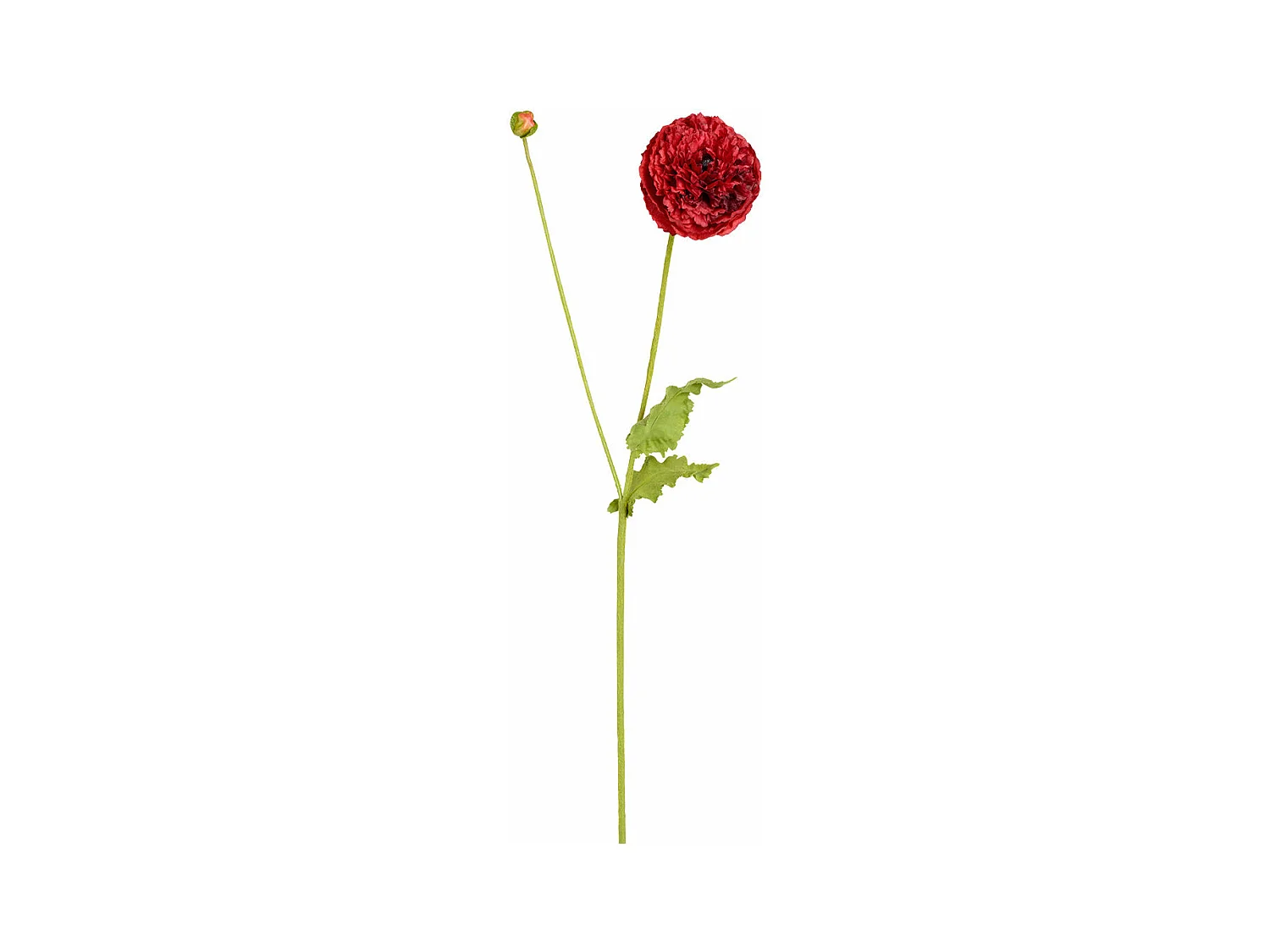 Tige de Coquelicot Pipa - Rose