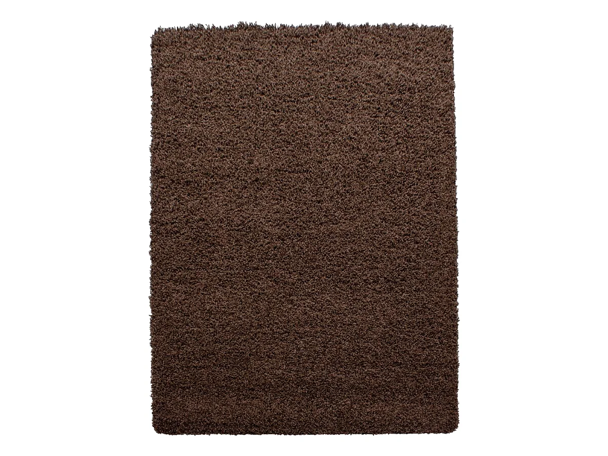 Tapis poils longs shaggy 120x170 rectangle tissé marron motif uni UNI L