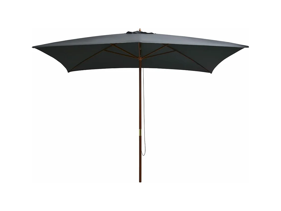 Parasol d'extérieur avec mât en bois 200 x 300 cm Anthracite