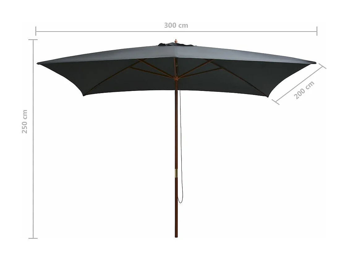 Parasol d'extérieur avec mât en bois 200 x 300 cm Anthracite