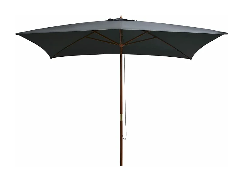 Parasol d'extérieur avec mât en bois 200 x 300 cm Anthracite