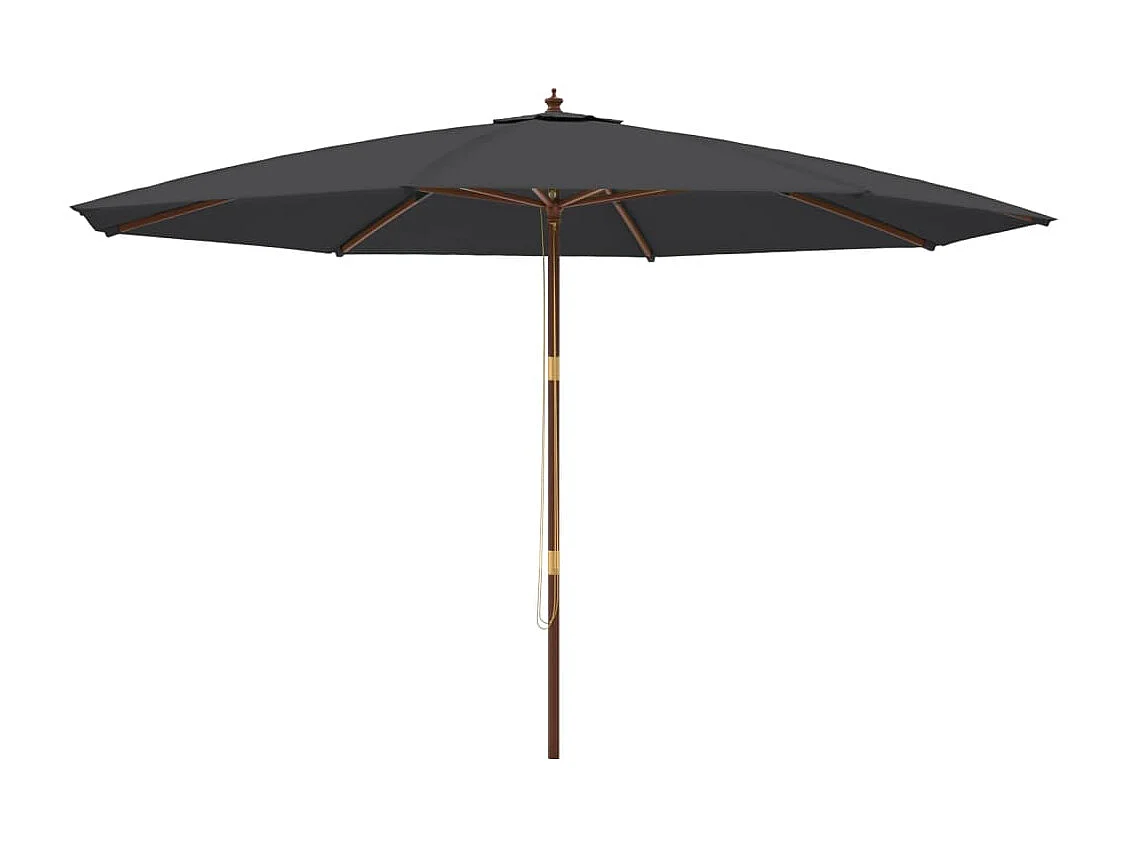Parasol met houten paal 400x273 cm zwart