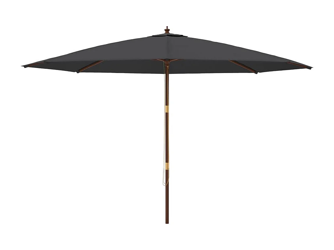 Parasol met houten paal 400x273 cm zwart