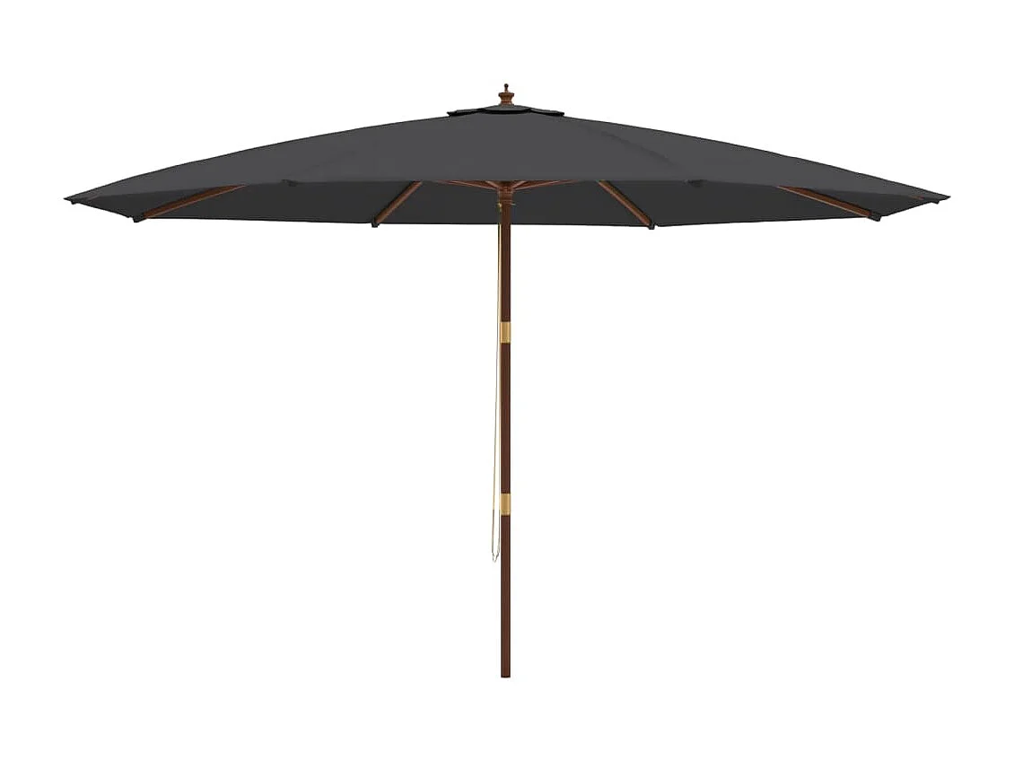 Parasol met houten paal 400x273 cm zwart