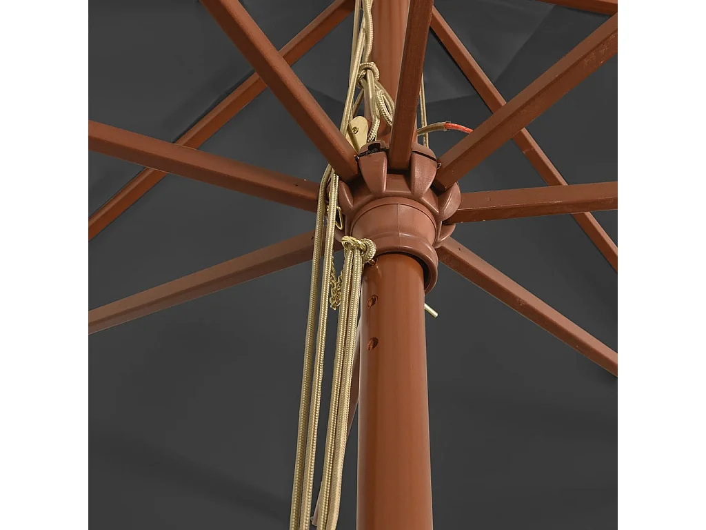 Parasol de jardin avec mât en bois anthracite 400x273 cm