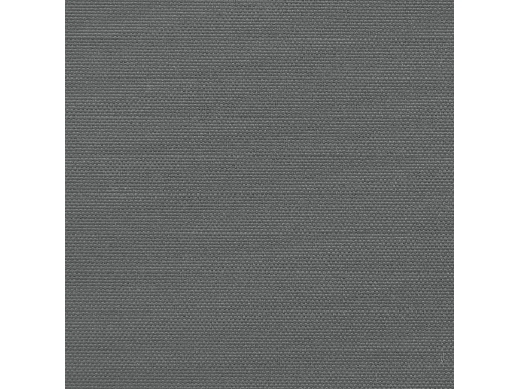 Auvent latéral rétractable anthracite 200x1000 cm