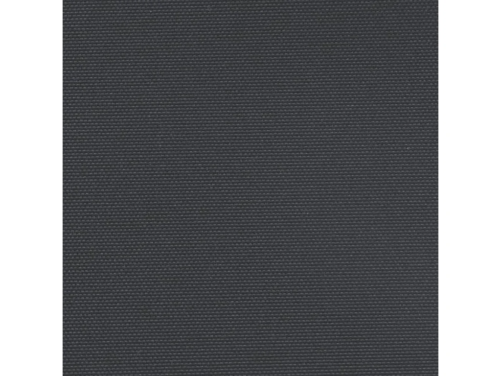 Toldo lateral retráctil negro 200x1000 cm