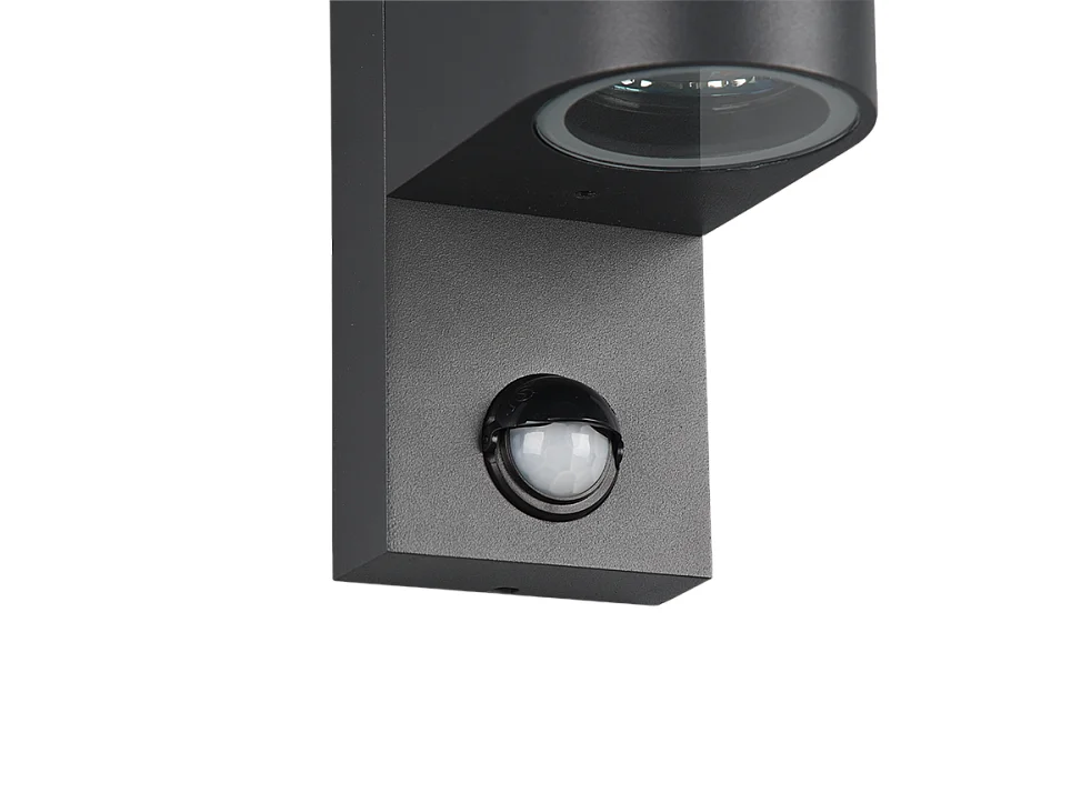 Applique da esterno 2 luci, alluminio, antracite, 7x22x11,8 cm, Roya