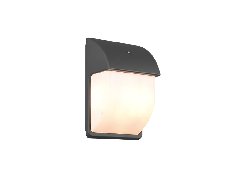 Applique outdoor IP44 Lunga détecteur de lumière