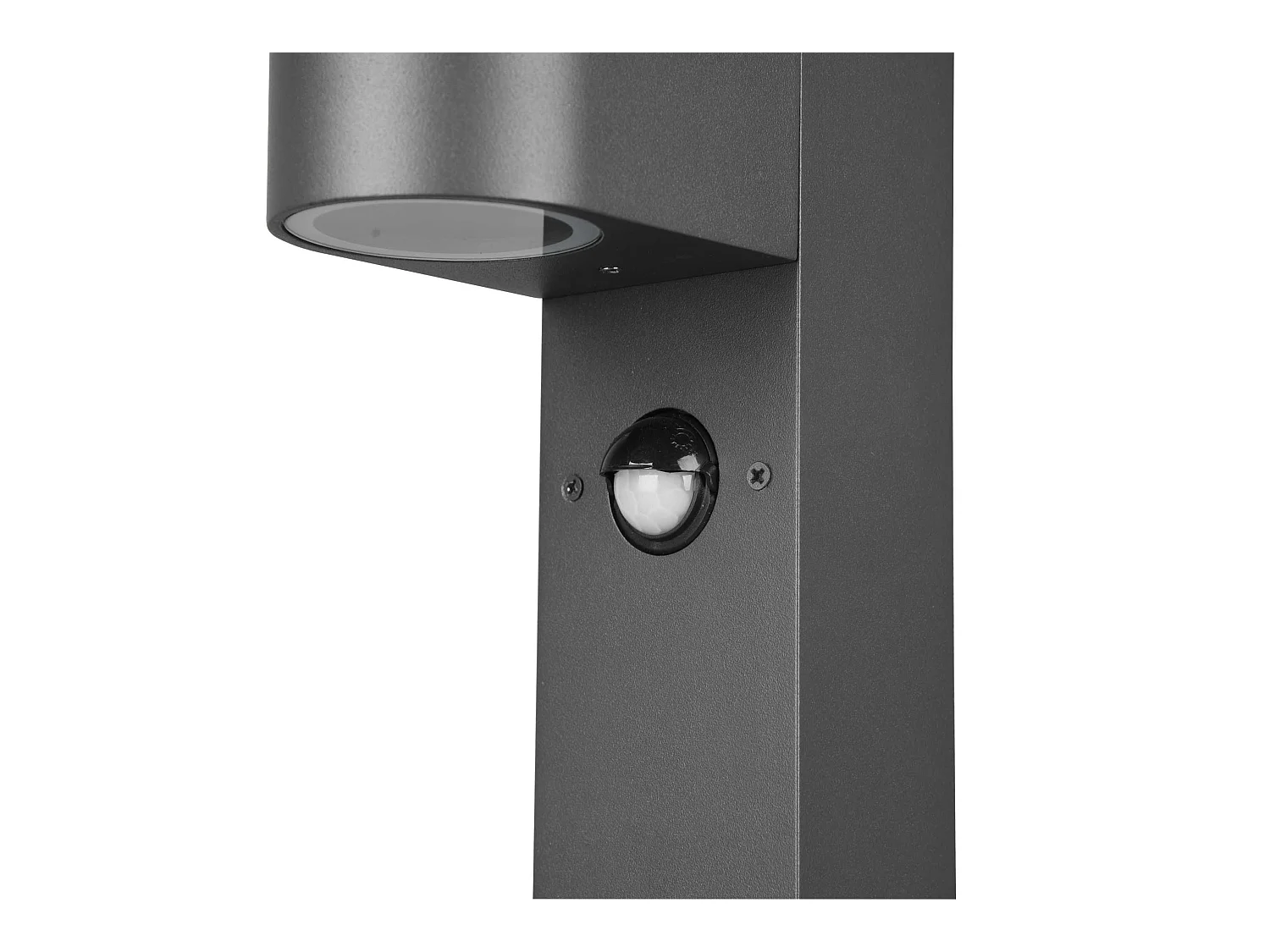 Paalverlichting ROYA - 0x0x100 cm - Antraciet
