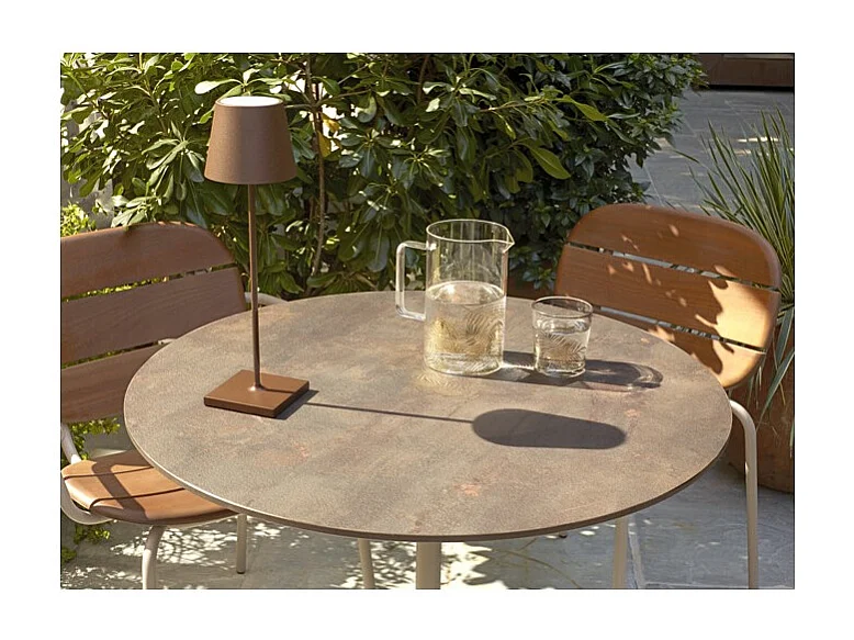 Lot deux chaises accoudoirs SISI Wood