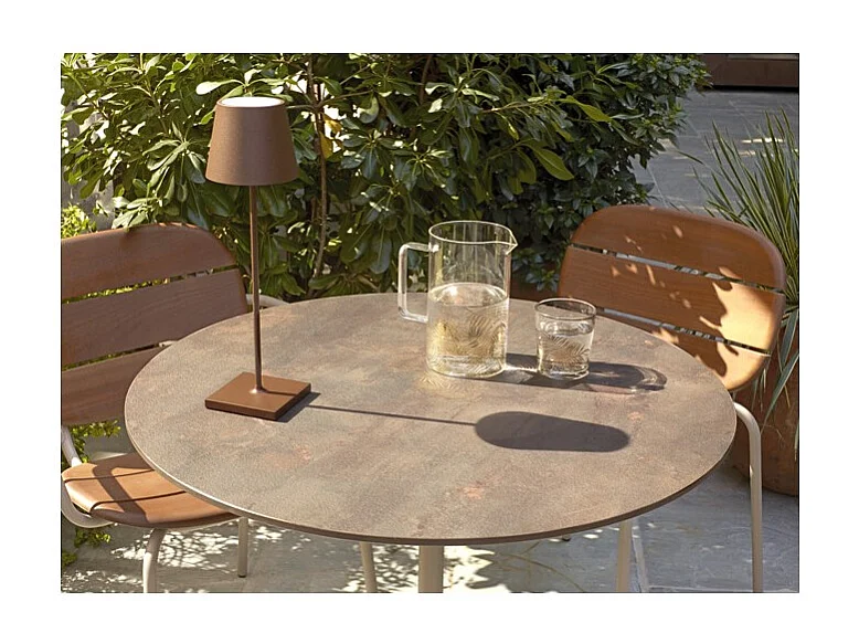 Lot deux chaises accoudoirs SISI Wood