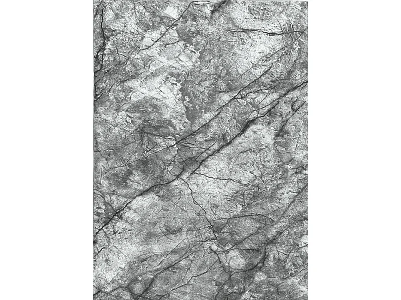Tapis marbre - DAKOTA 04 Gris 200*290