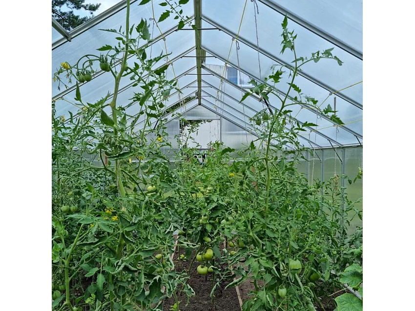 Serre de jardin en aluminium polycarbonate avec porte et fenêtre KLEIN