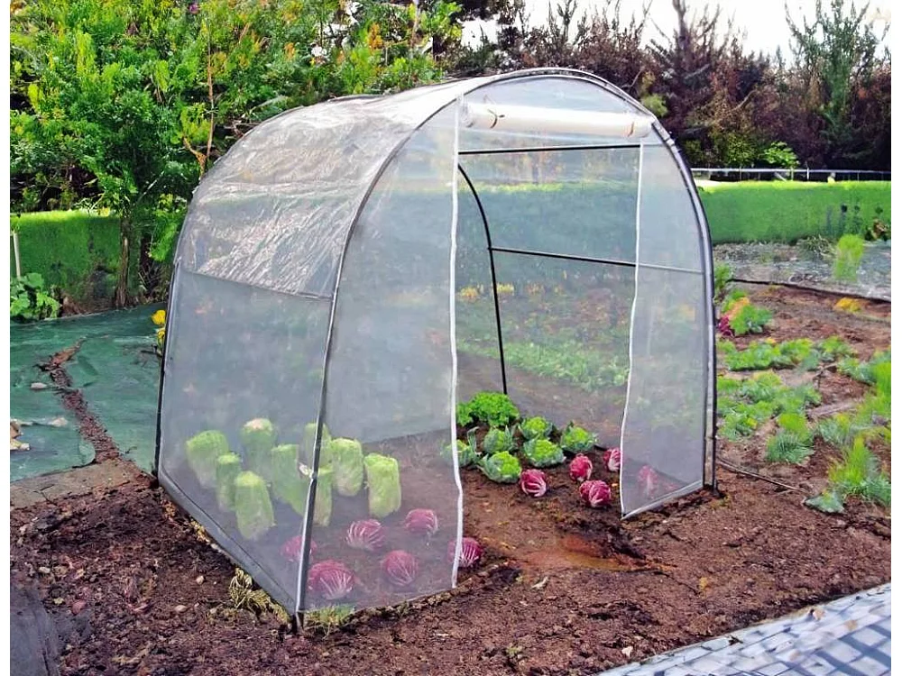 Serra da giardino tunnel 200x150xh180cm telo PVC piante fiori LinaM