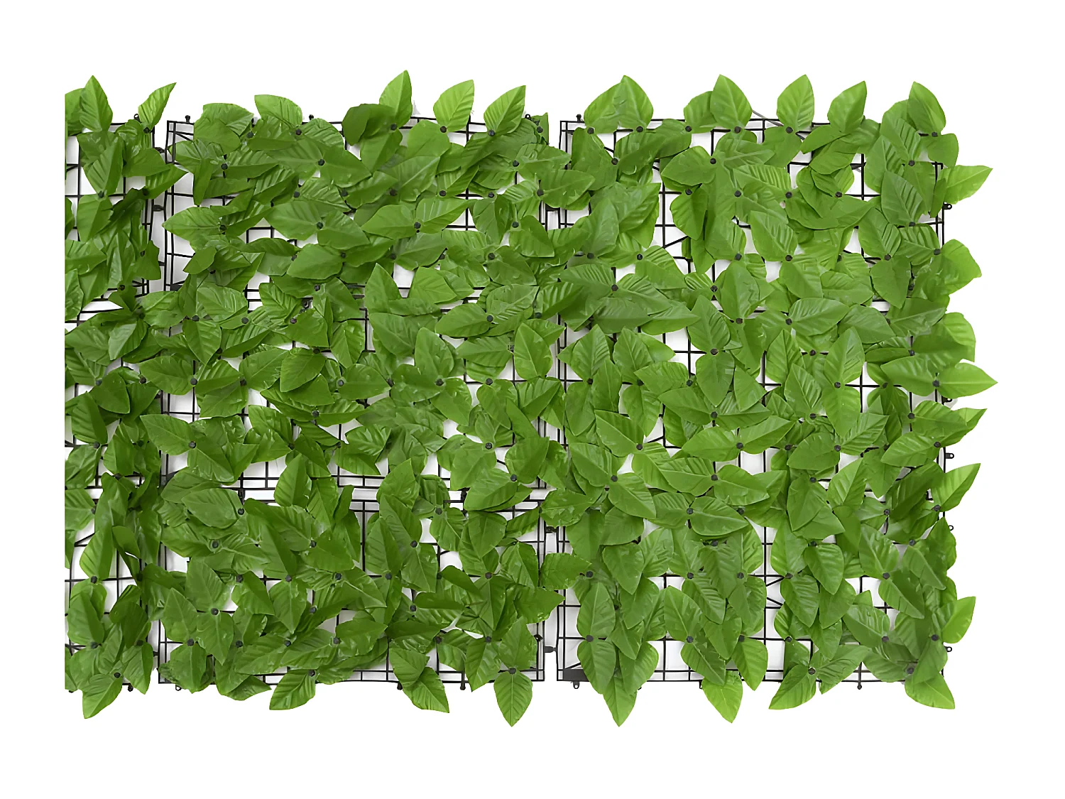 Brise-vue de balcon avec feuilles vert 600x75 cm