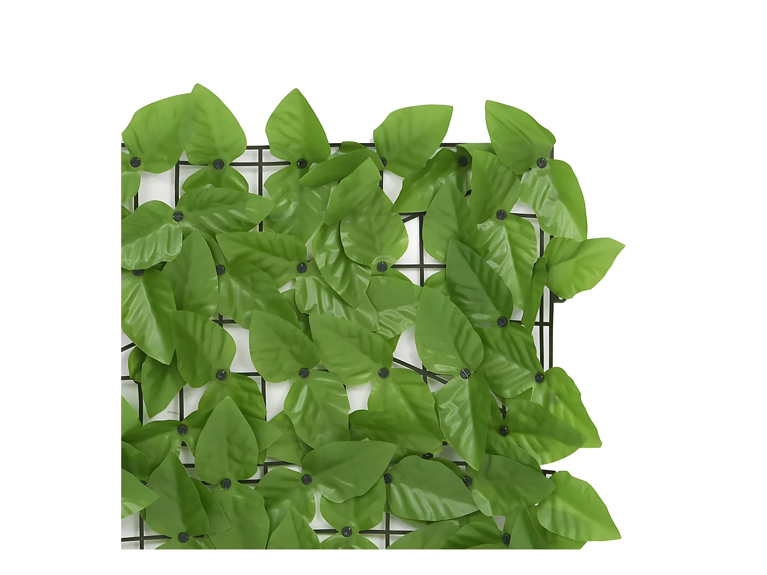 Brise-vue de balcon avec feuilles vert 300x150 cm