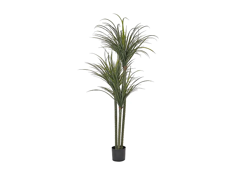 Kunstplant 198 cm DRACAENA ANITA