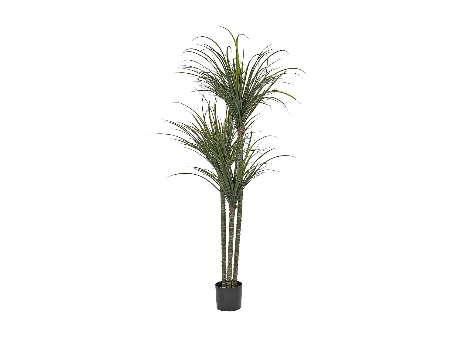 Kunstplant 198 cm DRACAENA ANITA