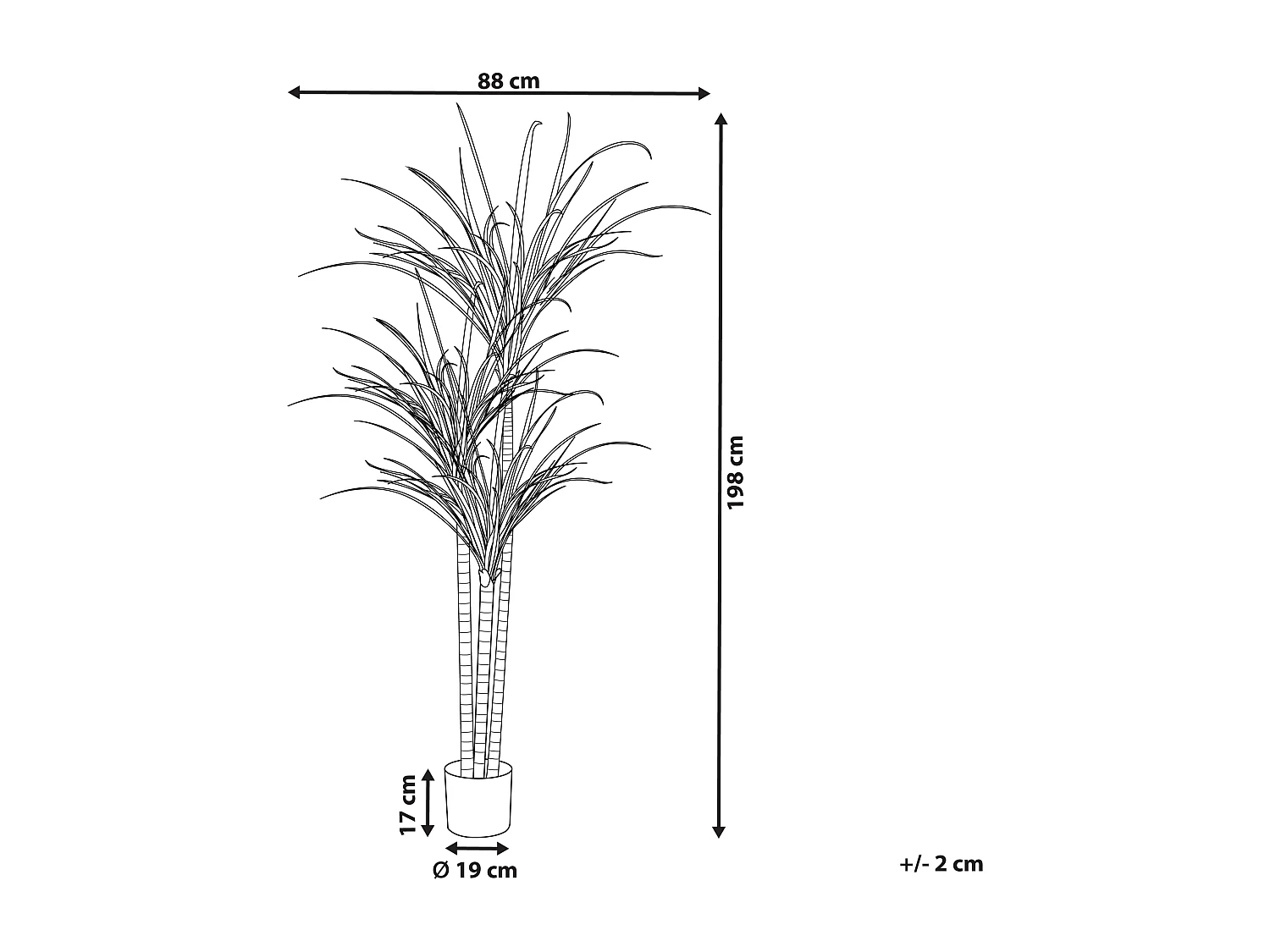 Plante artificielle DRACAENA ANITA 198 cm Vert
