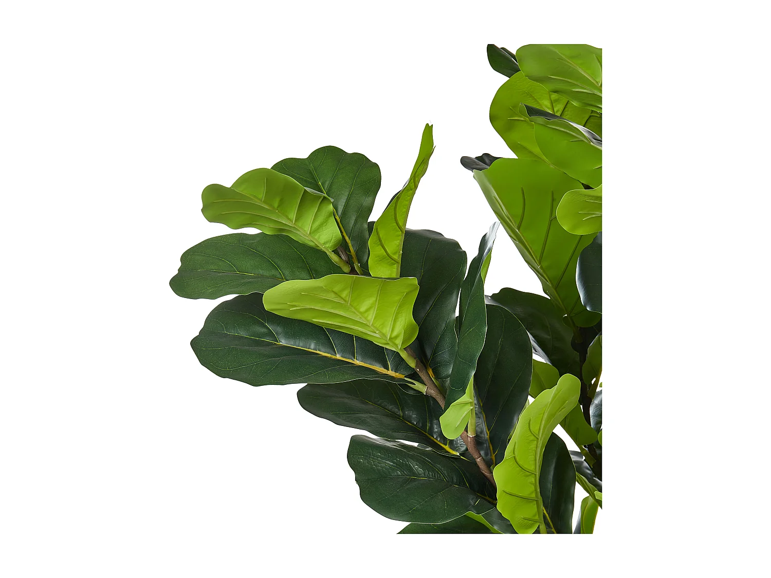Kunstpflanze im Blumentopf 162 cm FIG TREE