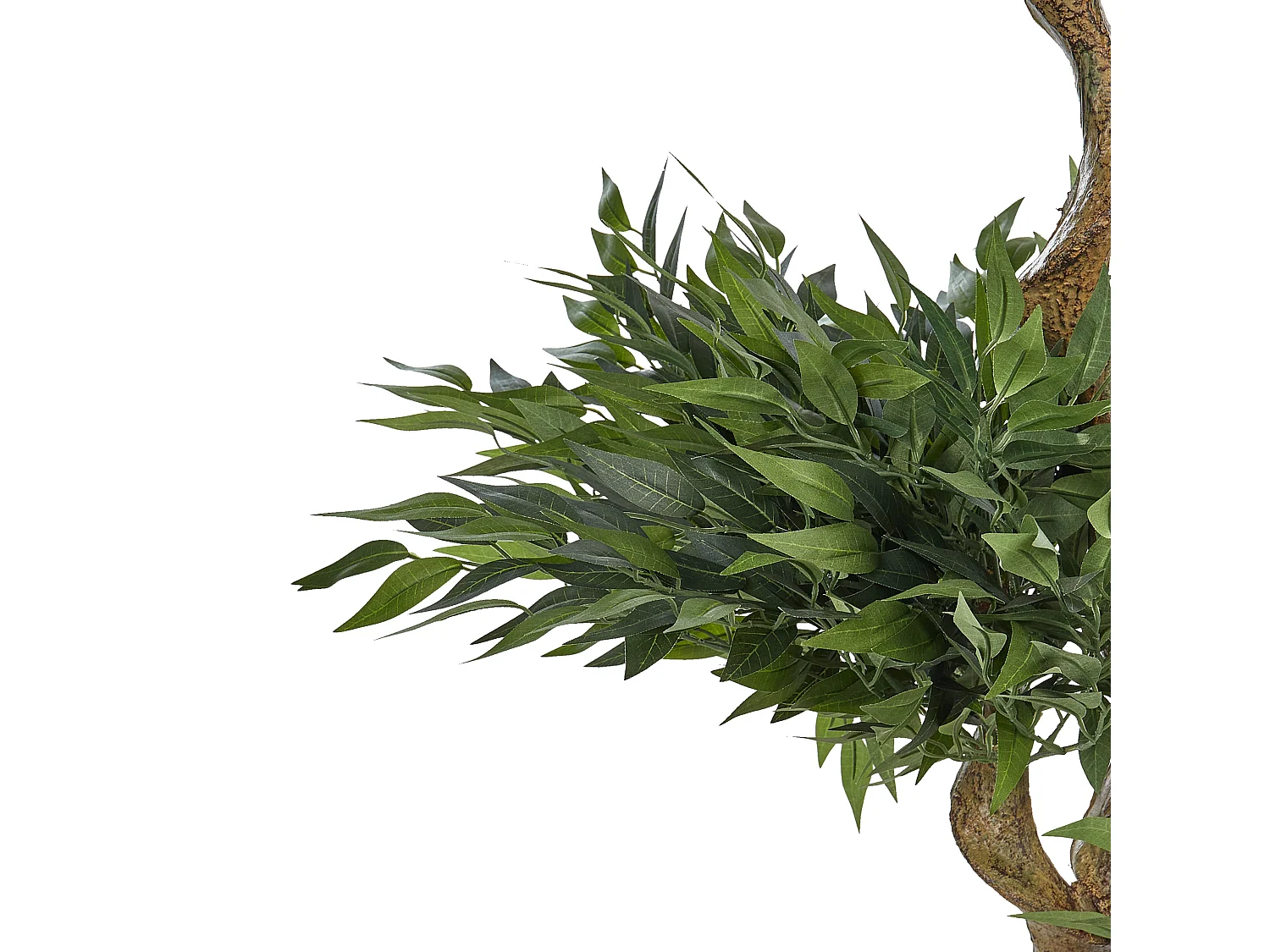 Kunstplant 166 cm RUSCUS TREE