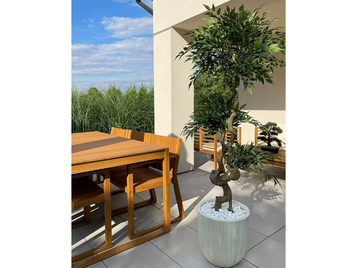 Kunstplant 166 cm RUSCUS TREE