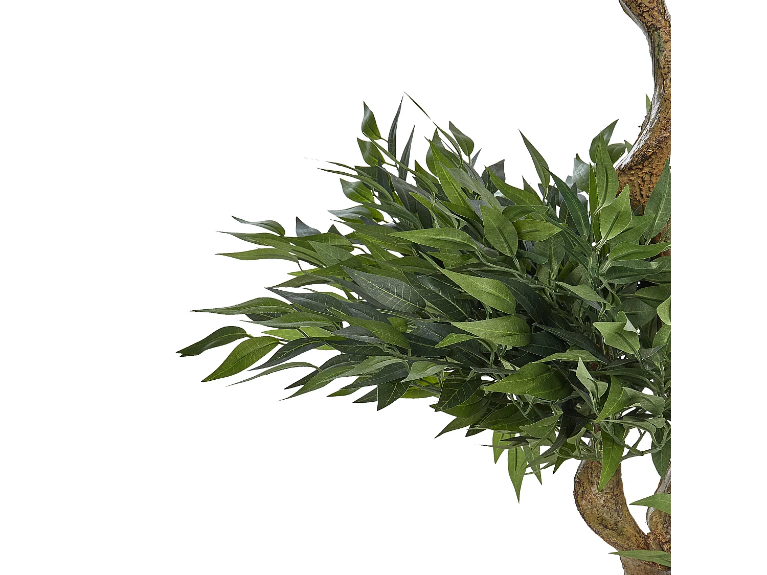 Pianta artificiale in vaso 166 cm RUSCUS TREE