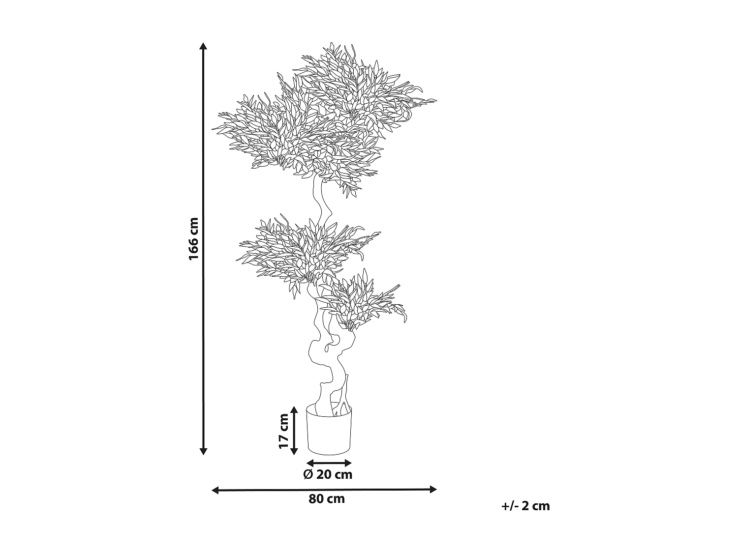 Kunstplant 166 cm RUSCUS TREE