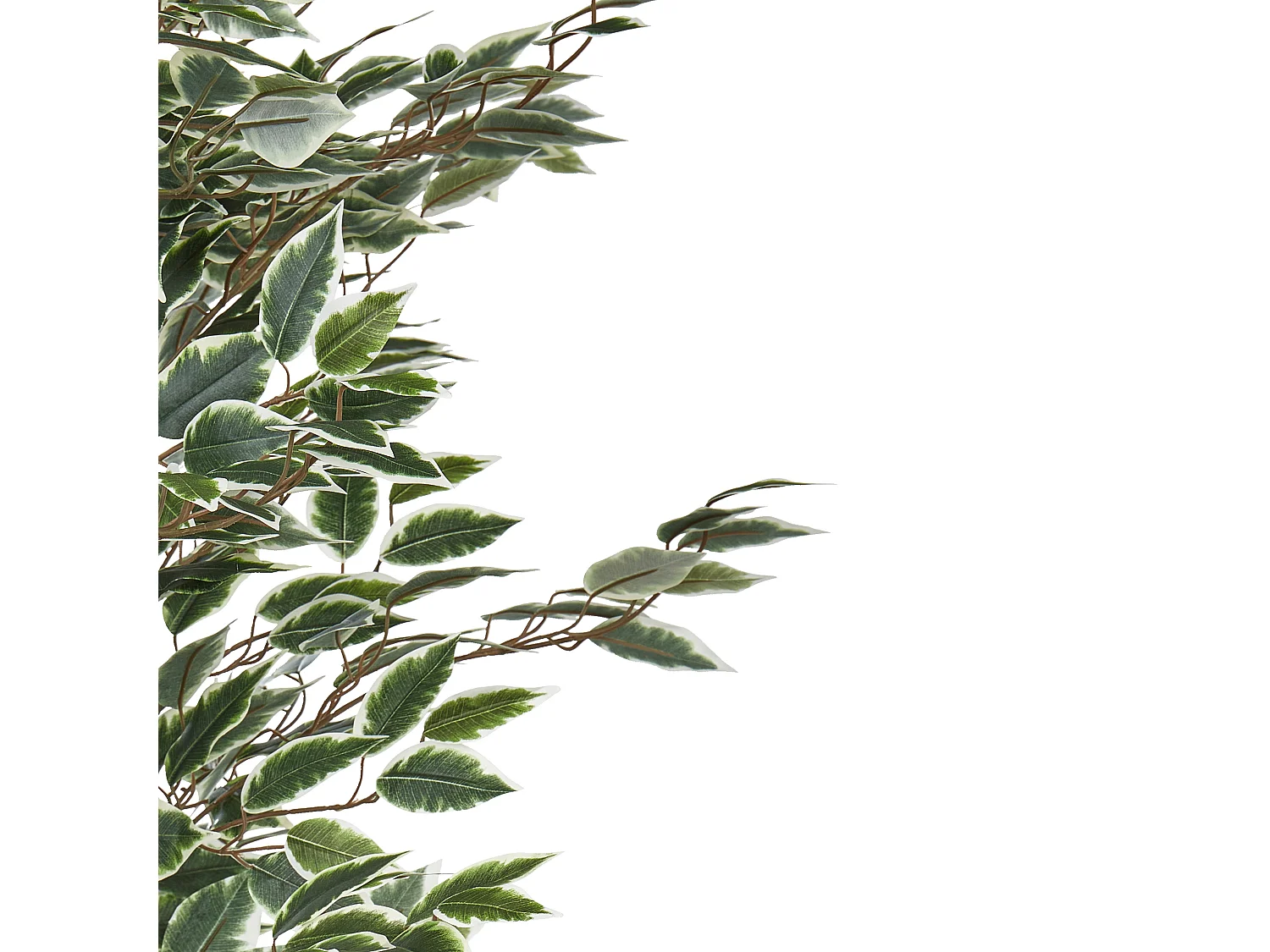 Plante artificielle FICUS 167 cm Vert