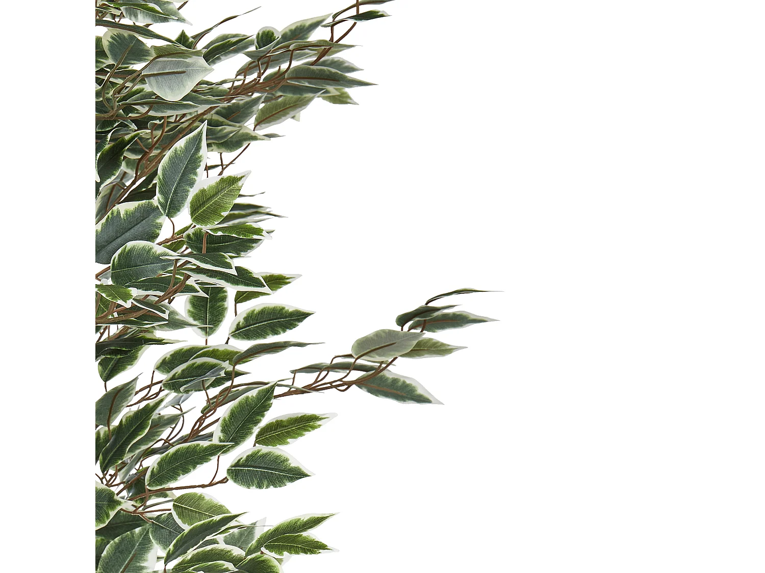 Kunstplant 167 cm FICUS TREE