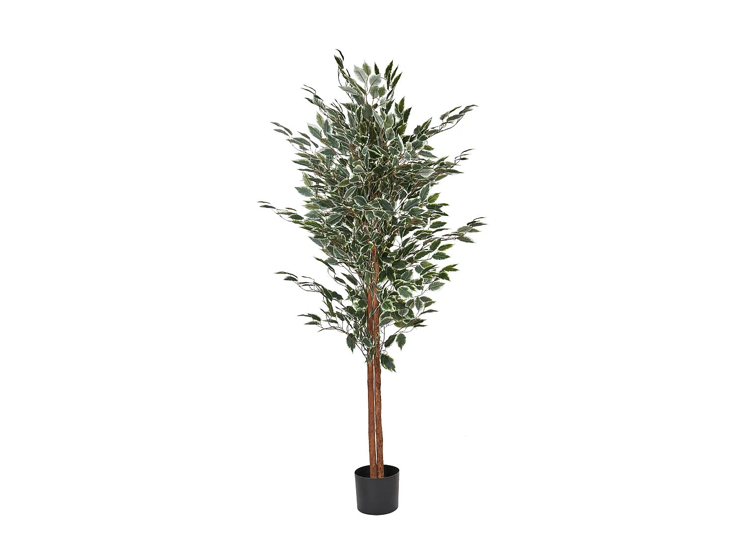 Pianta artificiale in vaso 167 cm FICUS TREE