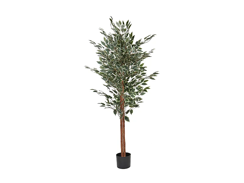Plante artificielle FICUS 167 cm Vert