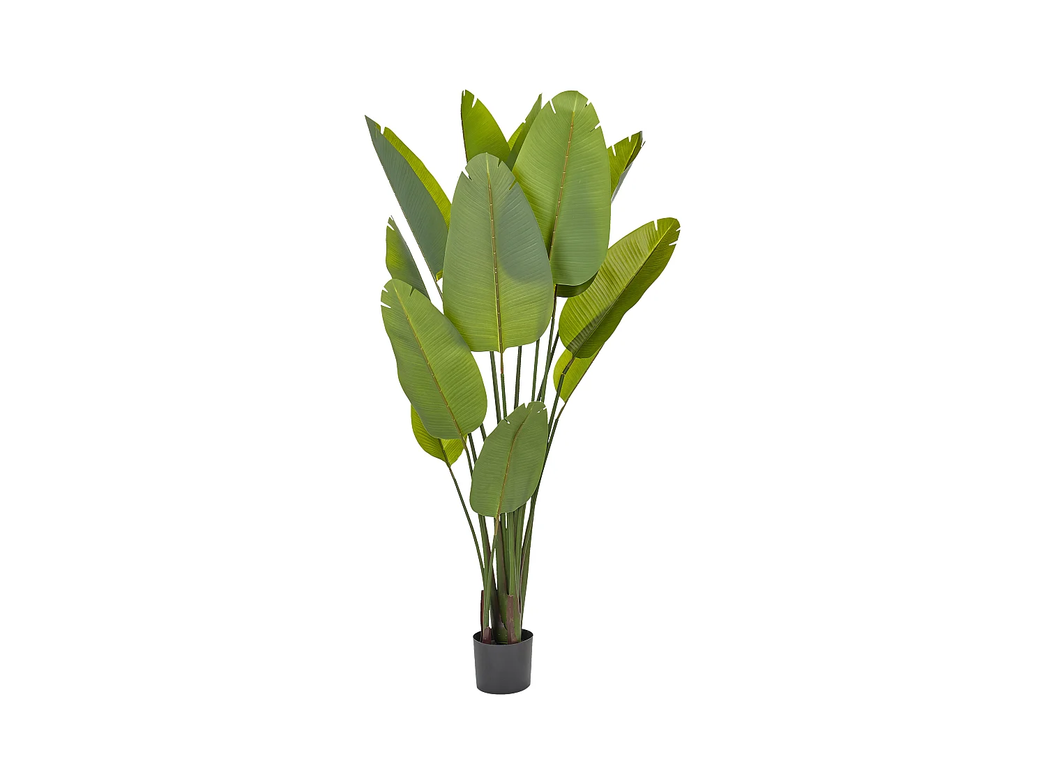 Plante artificielle BANANA TREE 187 cm Vert
