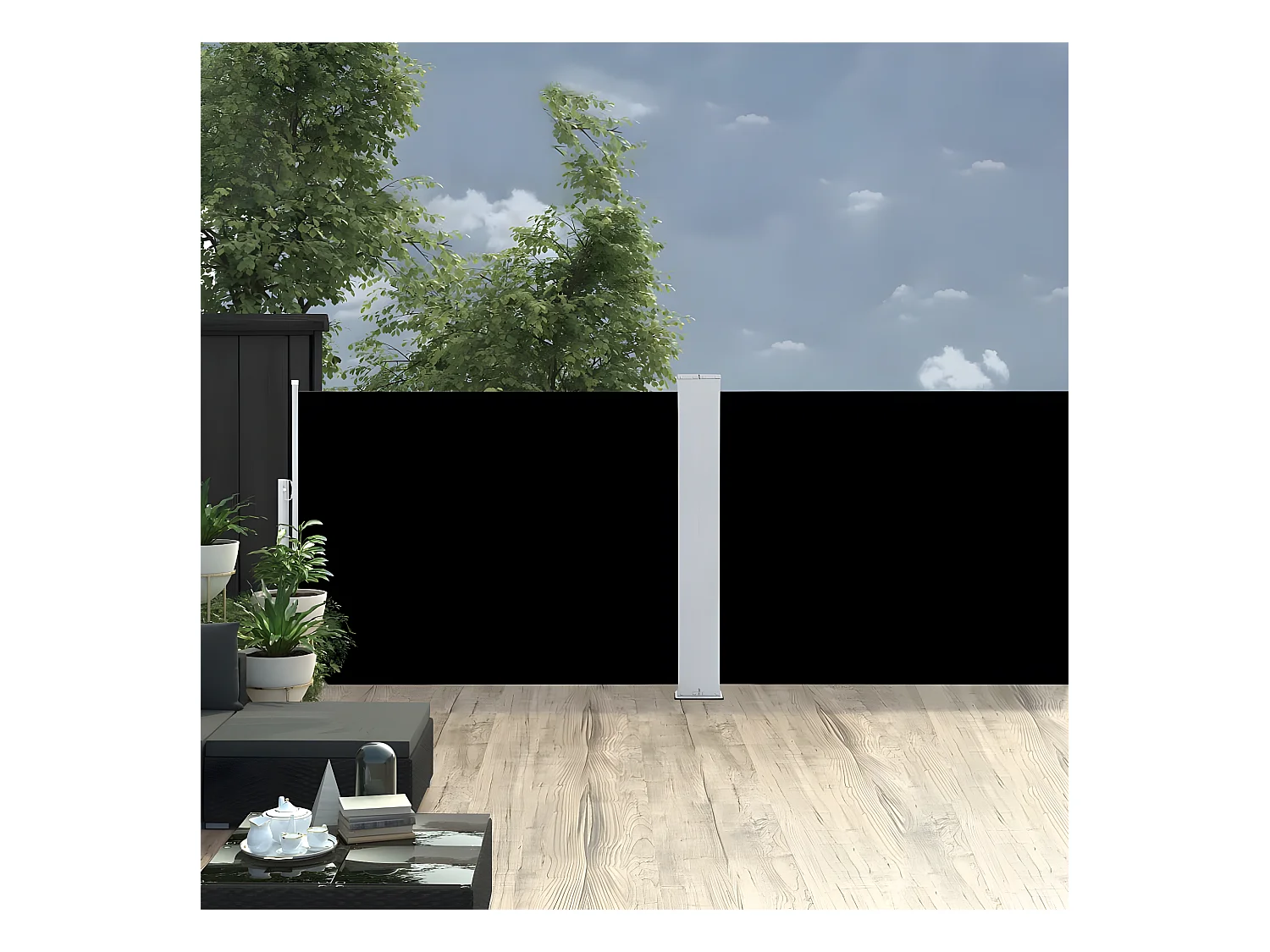 Auvent latéral rétractable Noir 120 x 1000 cm