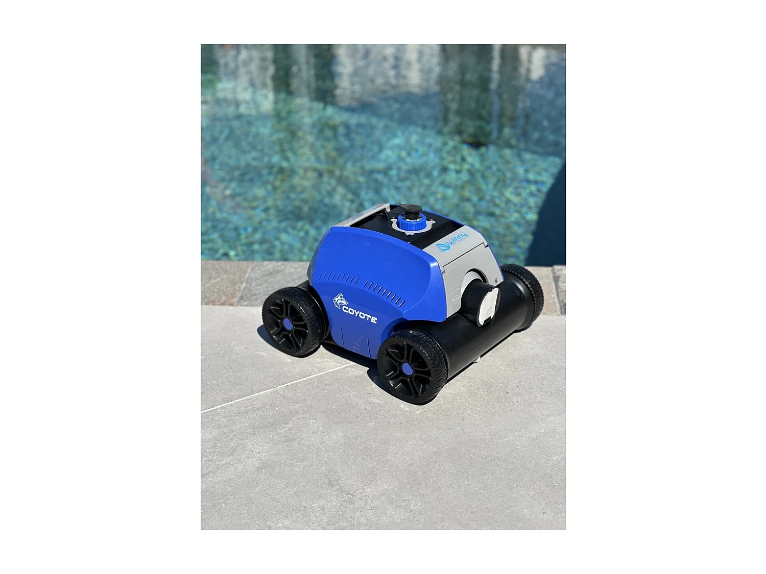 Robot de piscina Coyote