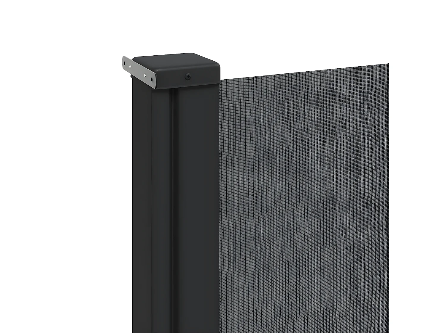 Auvent latéral rétractable anthracite 220x300 cm