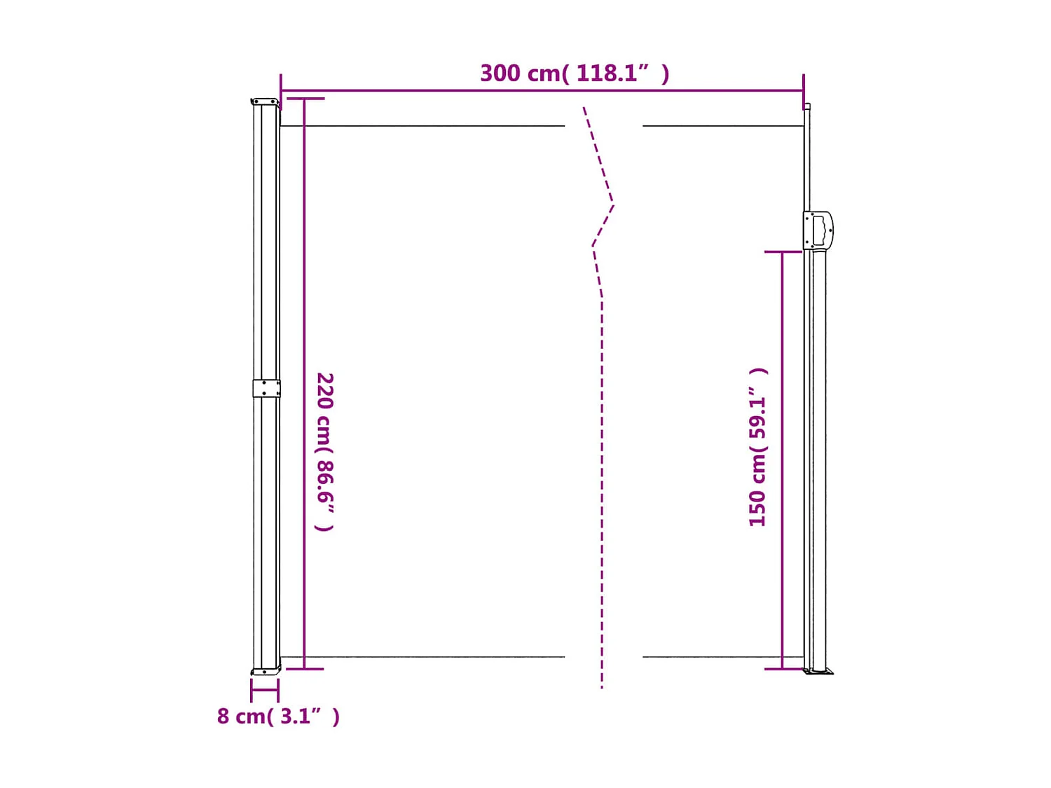 Toldo lateral retráctil beige 220x300 cm