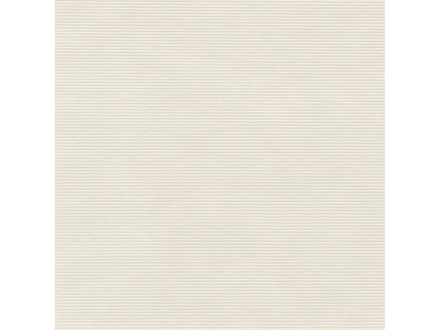 Toldo lateral retráctil crema 220x300 cm